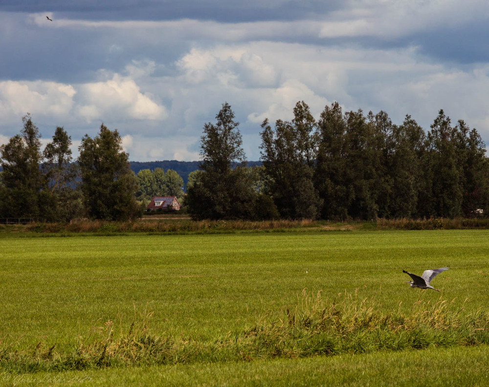 Фотографія На взльоті / Юрій Лабай / photographers.ua