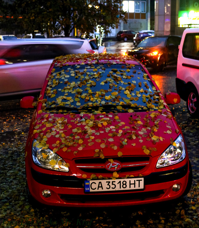 Фотографія Ось і осінь вже на дворі / Юрий Лабай / photographers.ua