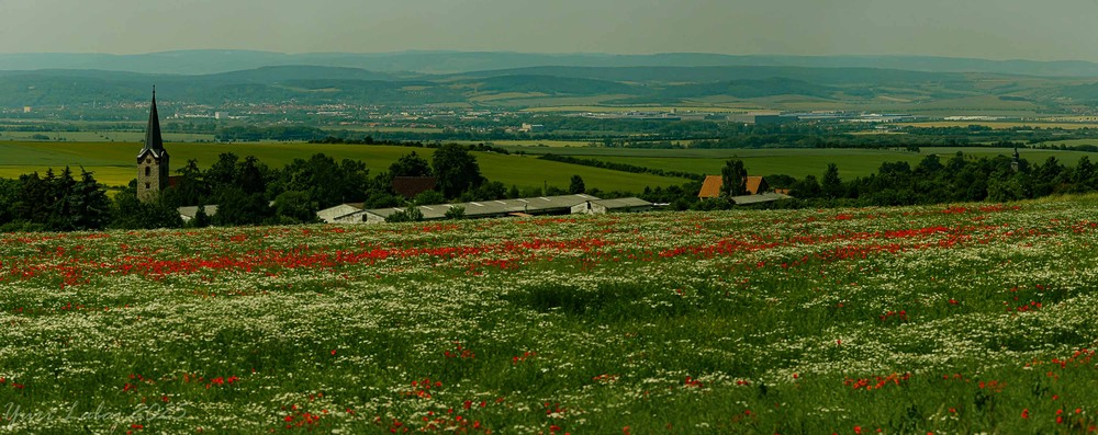 Фотографія На просторах Баварії / Юрій Лабай / photographers.ua