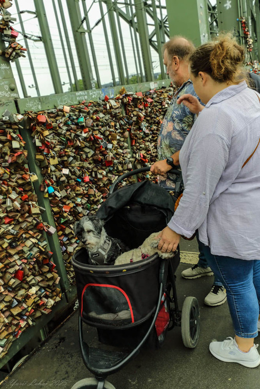 Фотографія На мосту через Рейн / Юрій Лабай / photographers.ua