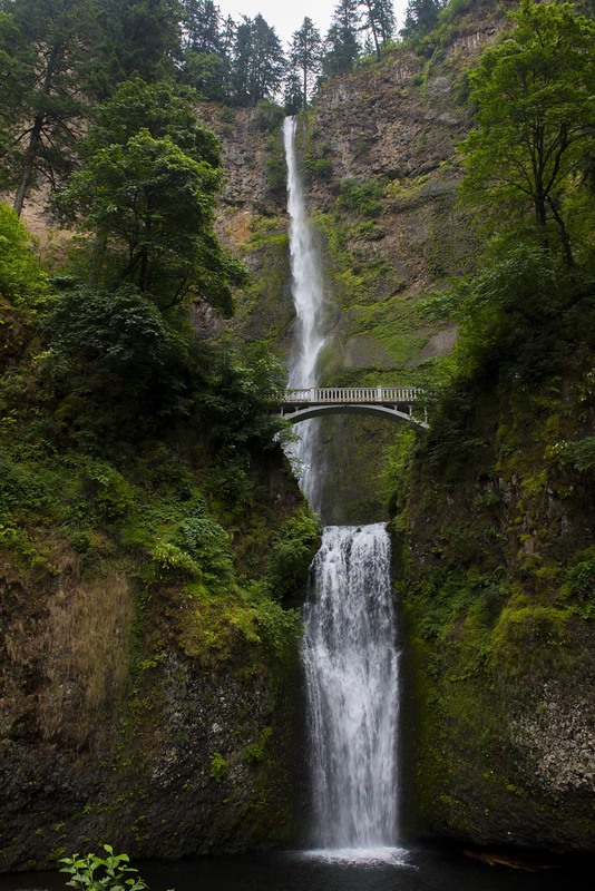 Фотографія Multnomah Falls, Oregon / Vladimir M / photographers.ua
