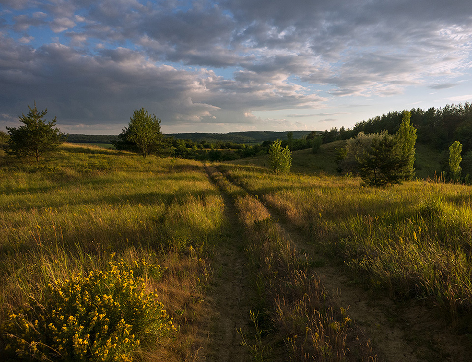 Фотографія Дорога до лicу... / Сергей Степаненко / photographers.ua