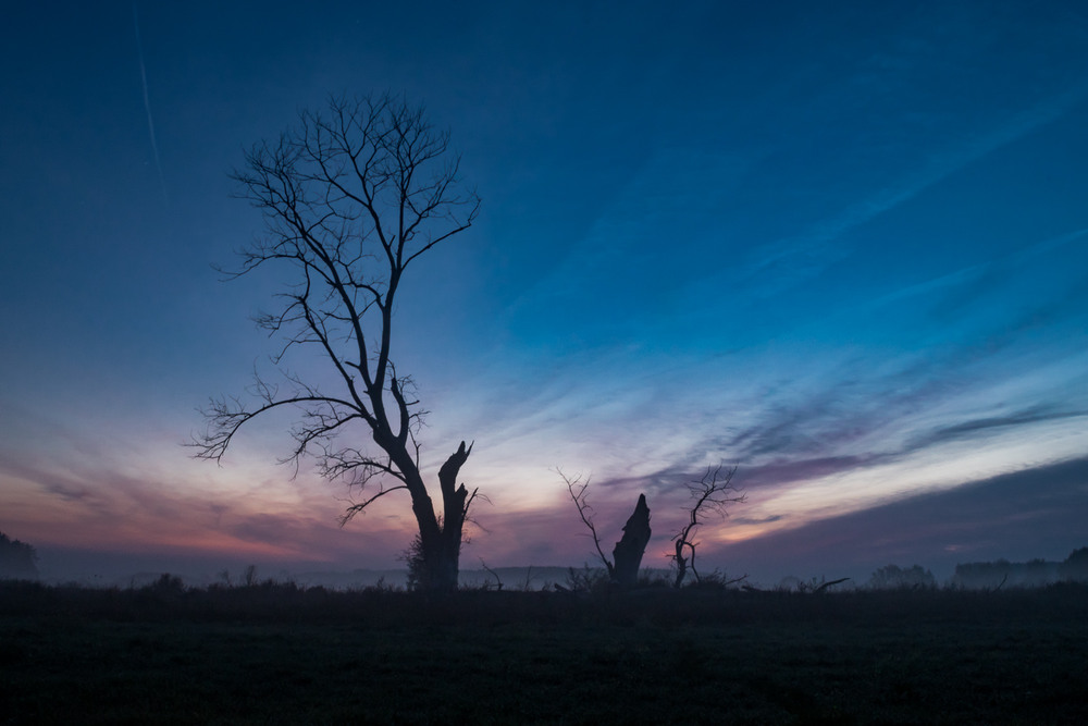 Фотографія Пейзаж / Микола / photographers.ua