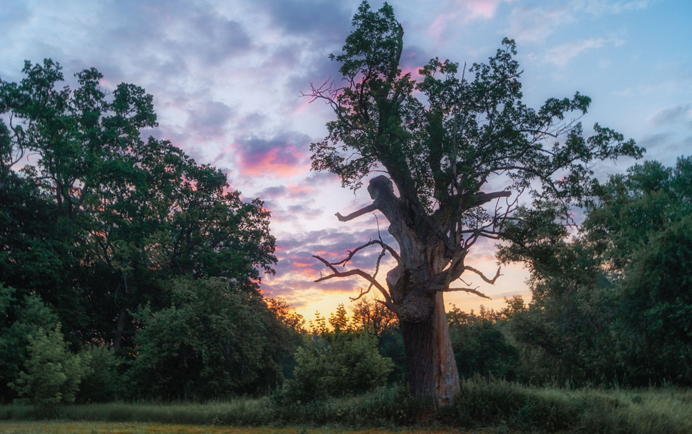 Фотографія Пейзаж / Микола / photographers.ua