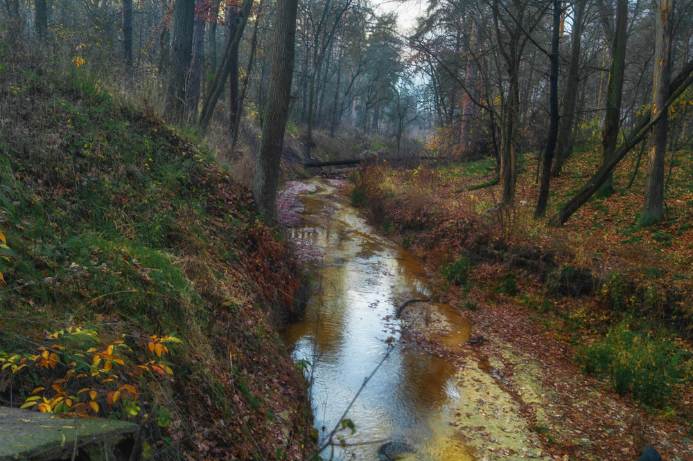 Фотографія Пейзаж / Микола / photographers.ua