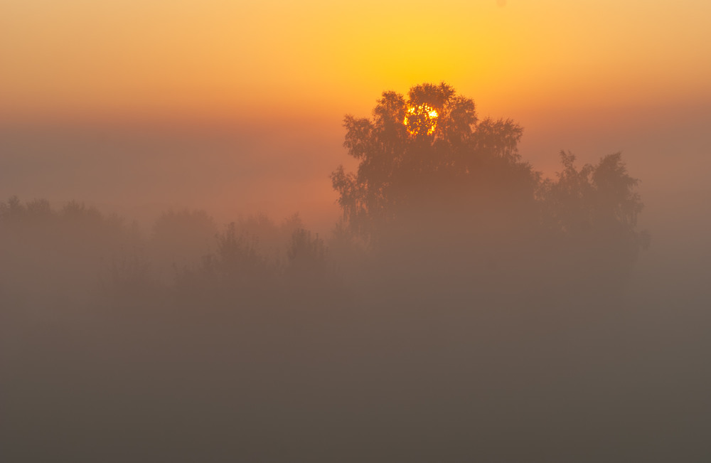 Фотографія Пейзаж / Микола / photographers.ua