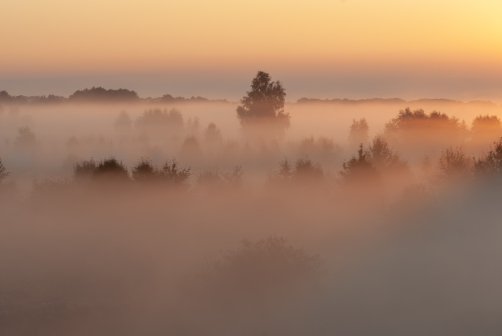 Фотографія Миколині тумани. / Микола / photographers.ua