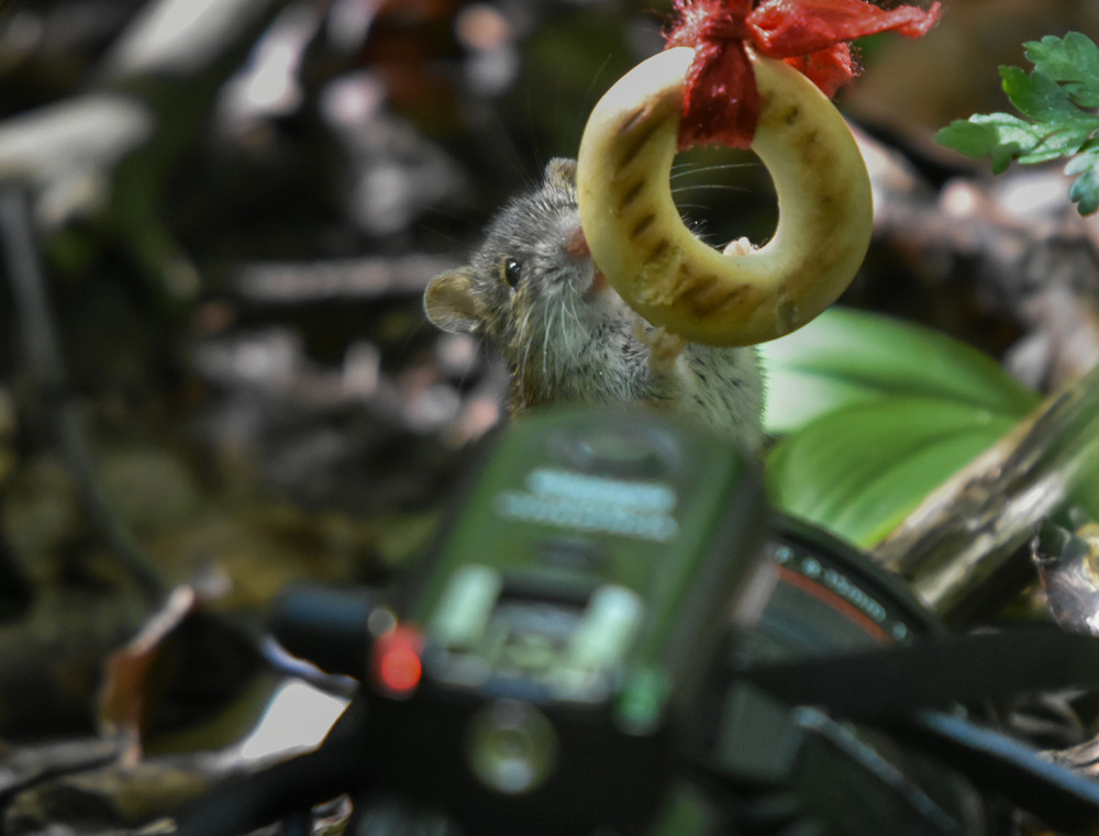 Фотографія Бекстейдж... / Микола / photographers.ua