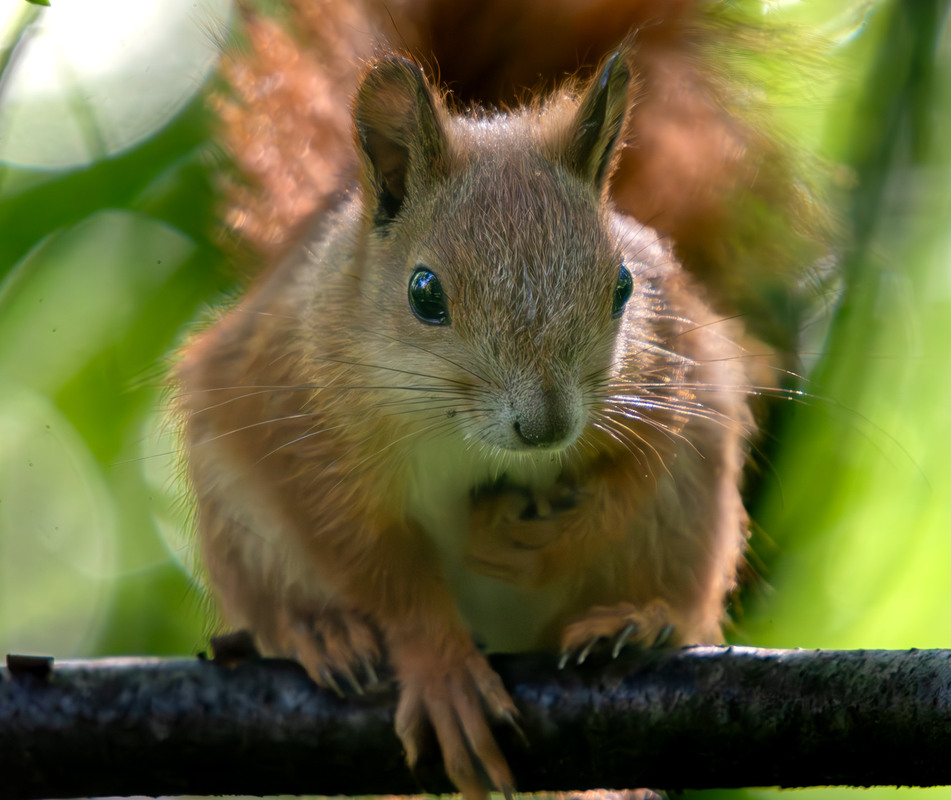 Фотографія Пейзаж / Микола / photographers.ua