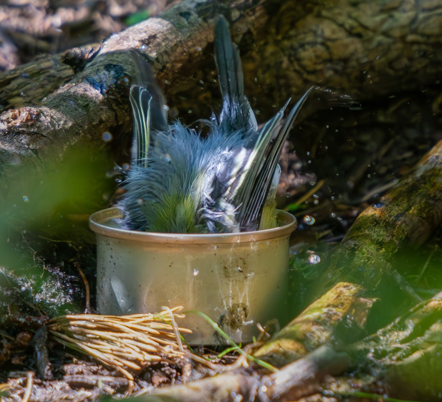 Фотографія У вир головою... / Микола / photographers.ua