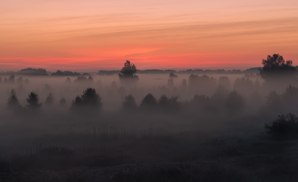 Фотографія Пейзаж / Микола / photographers.ua