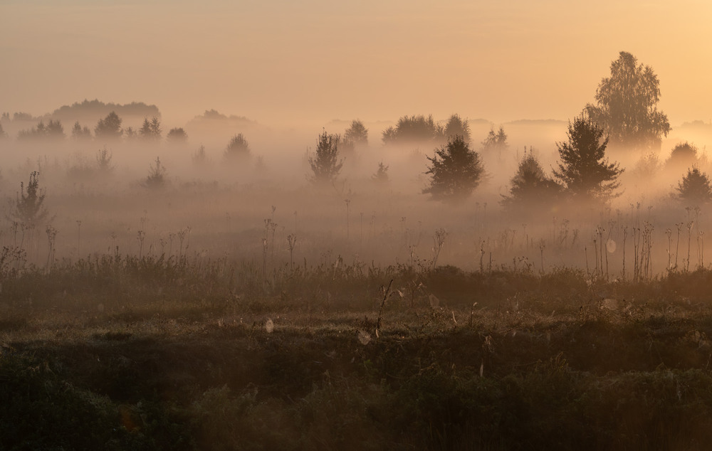 Фотографія Пейзаж / Микола / photographers.ua