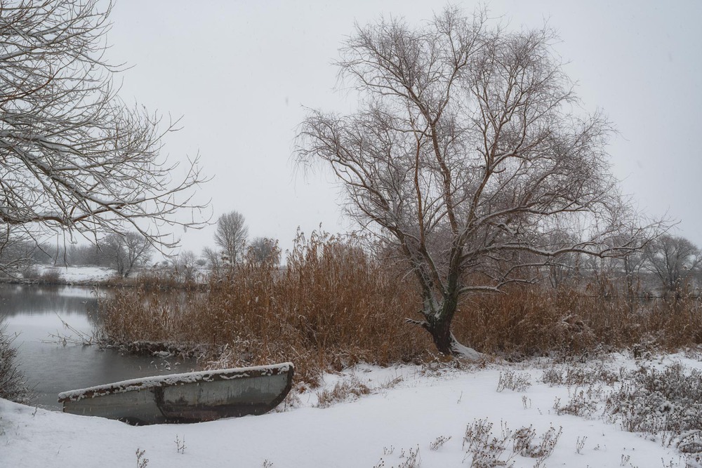 Фотографія Февраль. Падал снег... / Николай / photographers.ua
