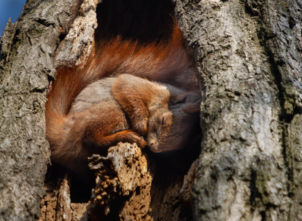 Фотографія - Сьогодні ж вихідий... / Микола / photographers.ua