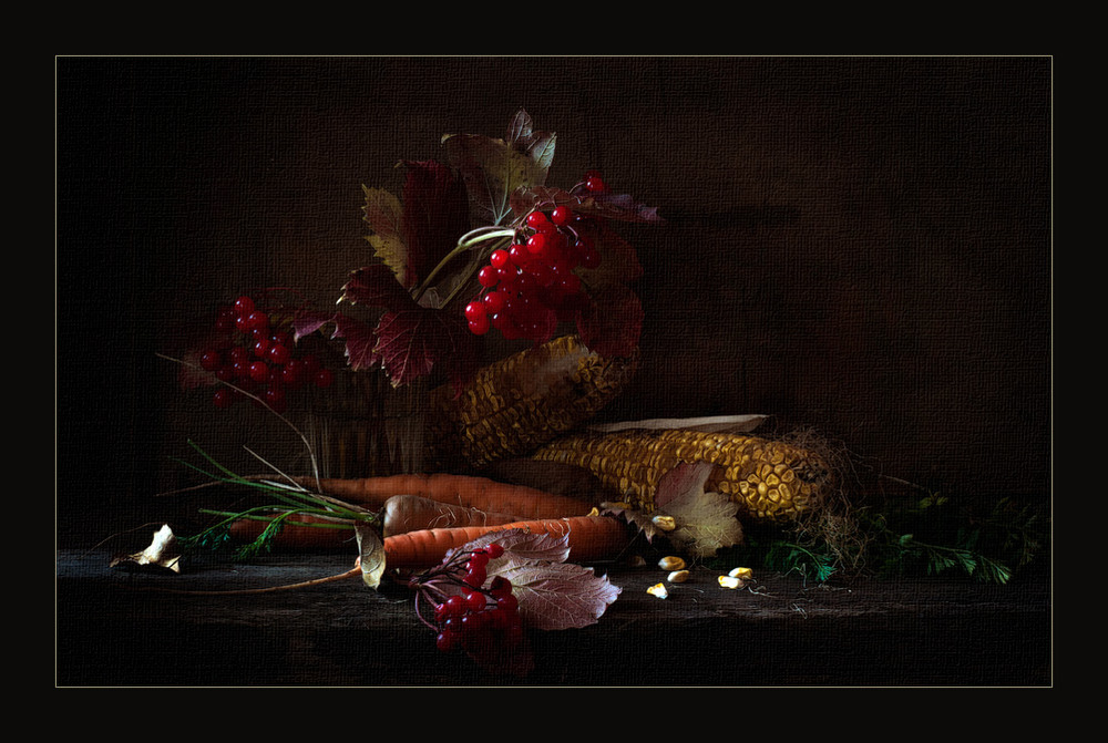Фотографія Осенний натюрморт с калиной / Октай Гусейнов / photographers.ua