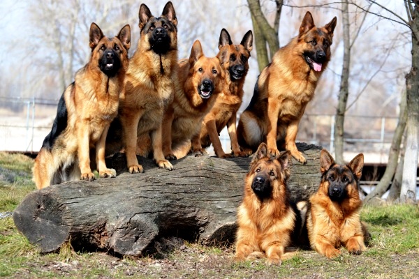 Фотографія После тренировки. / Natalya Krivokolinskaya / photographers.ua