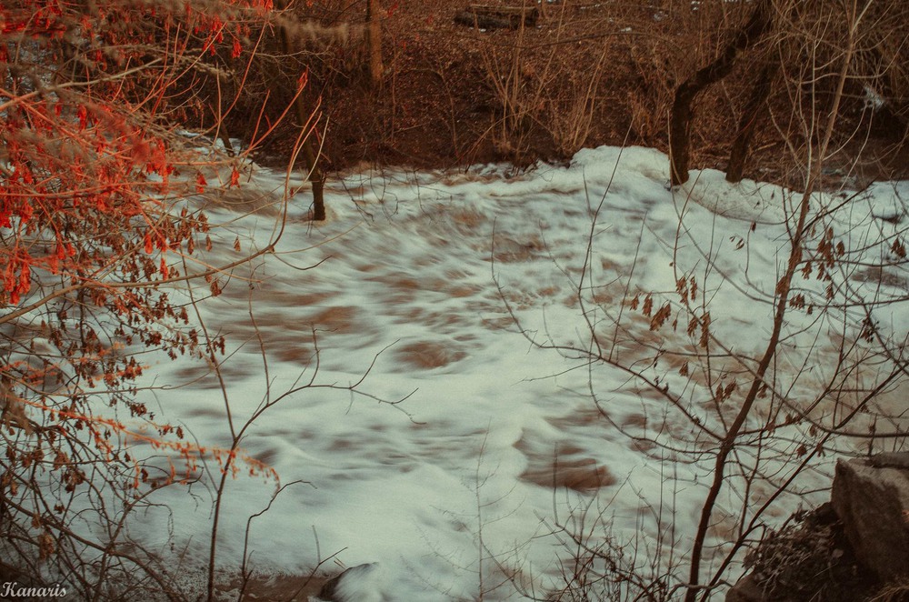 Фотографія Spring flooding / Alex Kanarski / photographers.ua