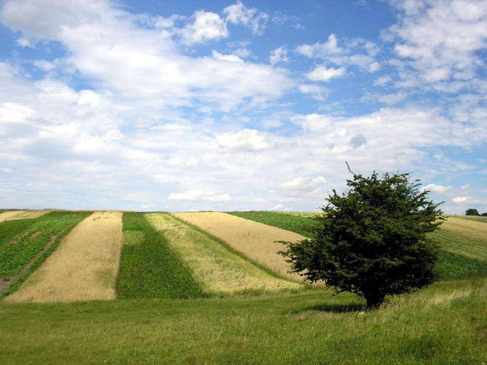 Фотографія Торчин пейзаж / Anton Nakonechnyi / photographers.ua