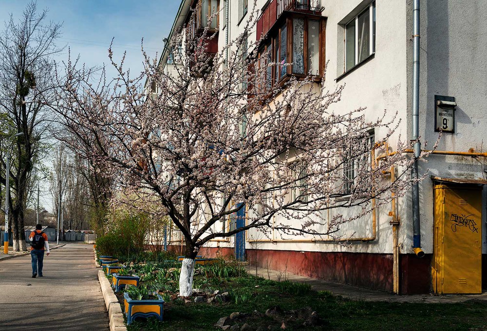 Фотографія №9. Весна навпроти... / Владимир Васильев / photographers.ua
