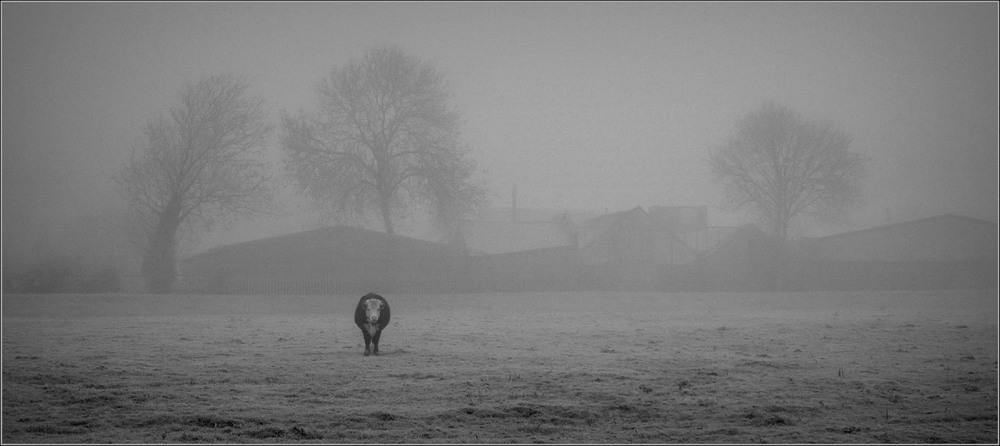 Фотографія Одиночество... / Galilejev Pjotr / photographers.ua