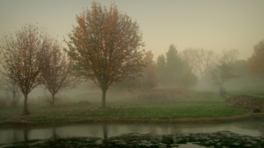 Фотографія Сырое, прохладное утро... / Galilejev Pjotr / photographers.ua