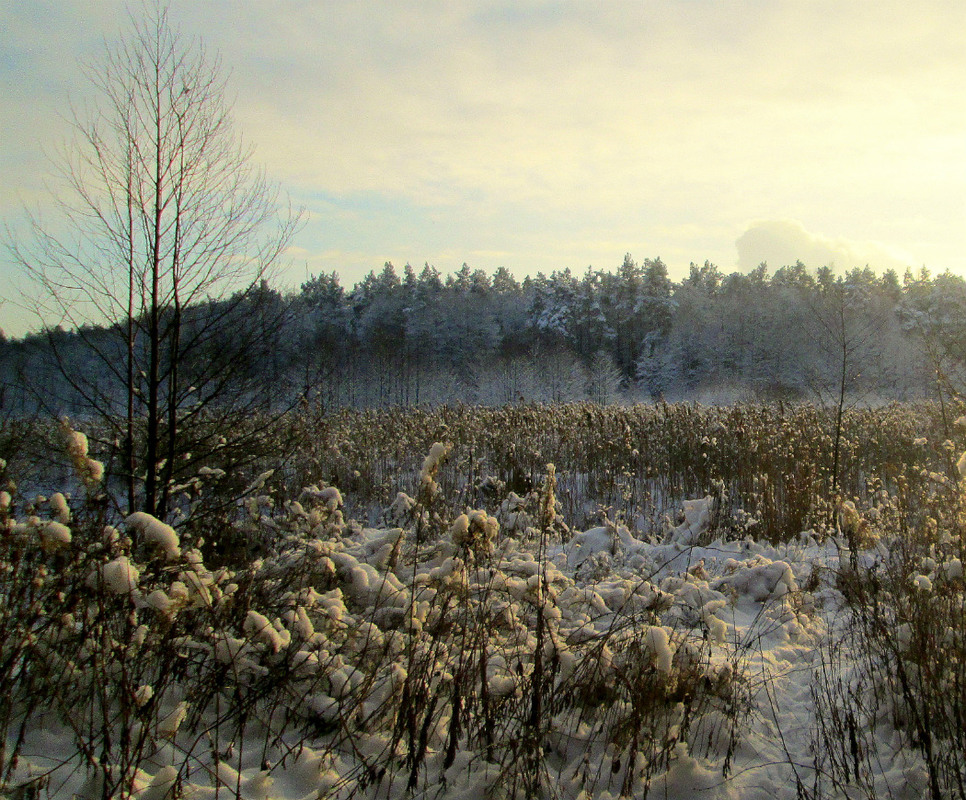 Фотографія Хлопок зимы... / Galilejev Pjotr / photographers.ua
