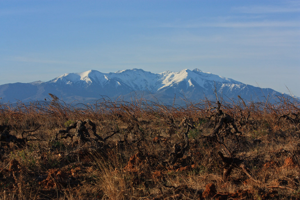 Фотографія french cancan / Nadia Bodnar / photographers.ua