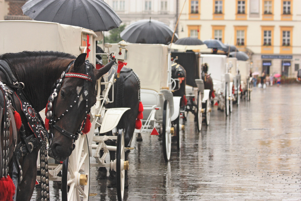 Фотографія краківський дощ / Nadia Bodnar / photographers.ua