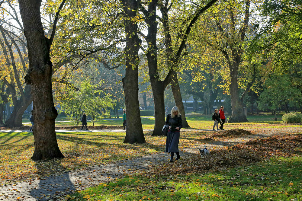 Фотографія Жовтень у Верманському парку / Алекс Сергіїв / photographers.ua