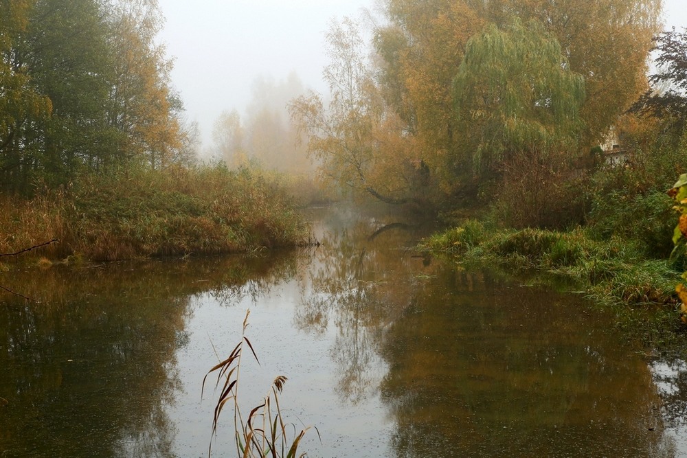 Фотографія Осінь на чаклунській річці / Алекс Сергіїв / photographers.ua