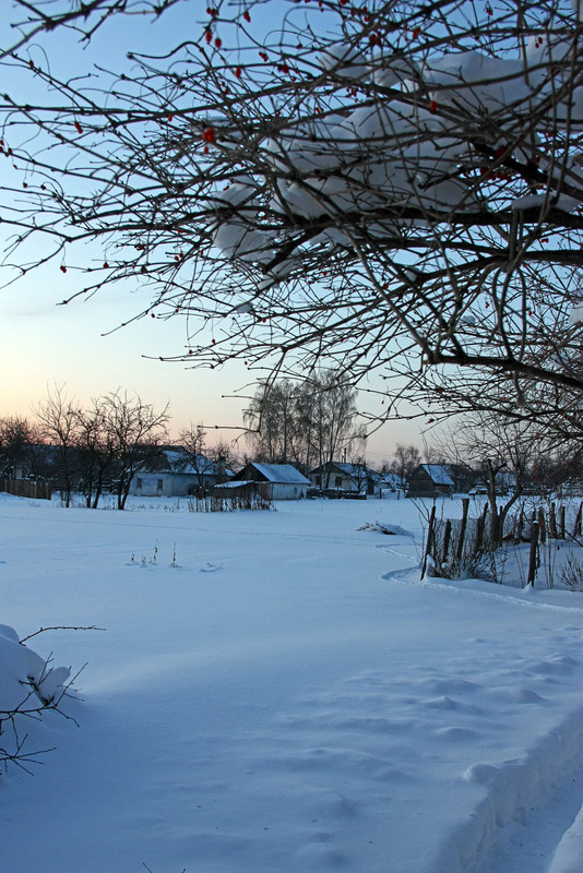 Фотографія Несбывшаяся зима / Алекс Сергіїв / photographers.ua