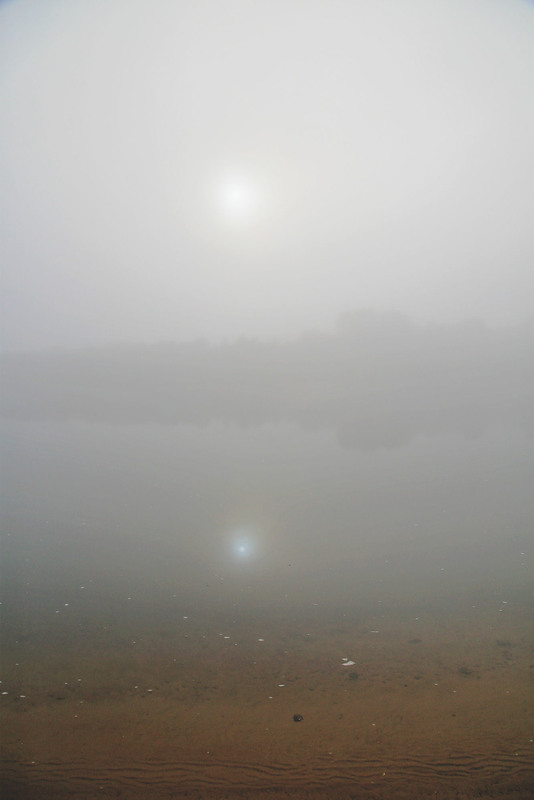 Фотографія Туман над річкою стояв... / Алекс Сергіїв / photographers.ua
