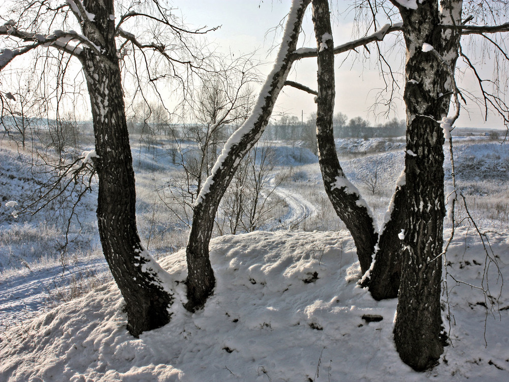 Фотографія Зима близько / Алекс Сергіїв / photographers.ua