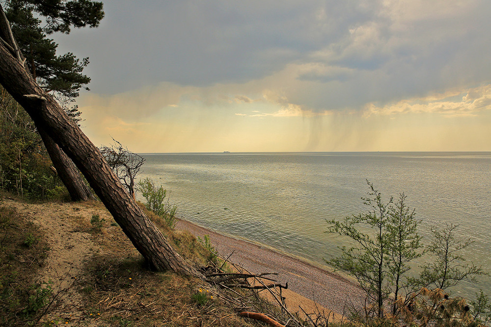 Фотографія Краєвиди Каркле Клайпедський район Литва / Алекс Сергіїв / photographers.ua