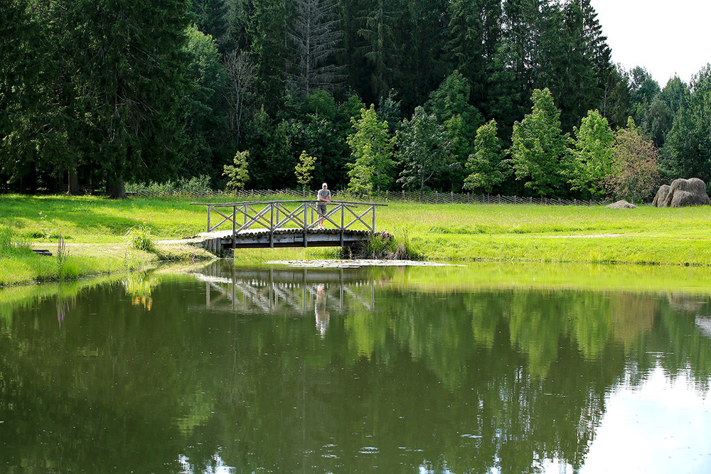 Фотографія Де ти, кохана? ... / Алекс Сергіїв / photographers.ua