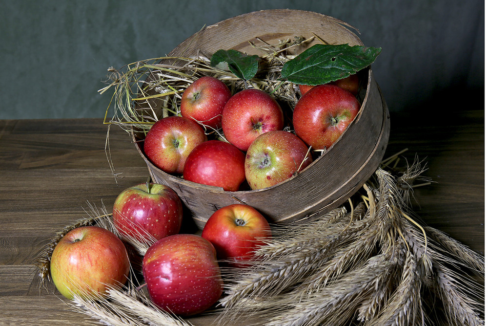 Фотографія Яблука червоні, стиглі, соковиті, соками земними всі плоди налиті ... / Алекс Сергіїв / photographers.ua