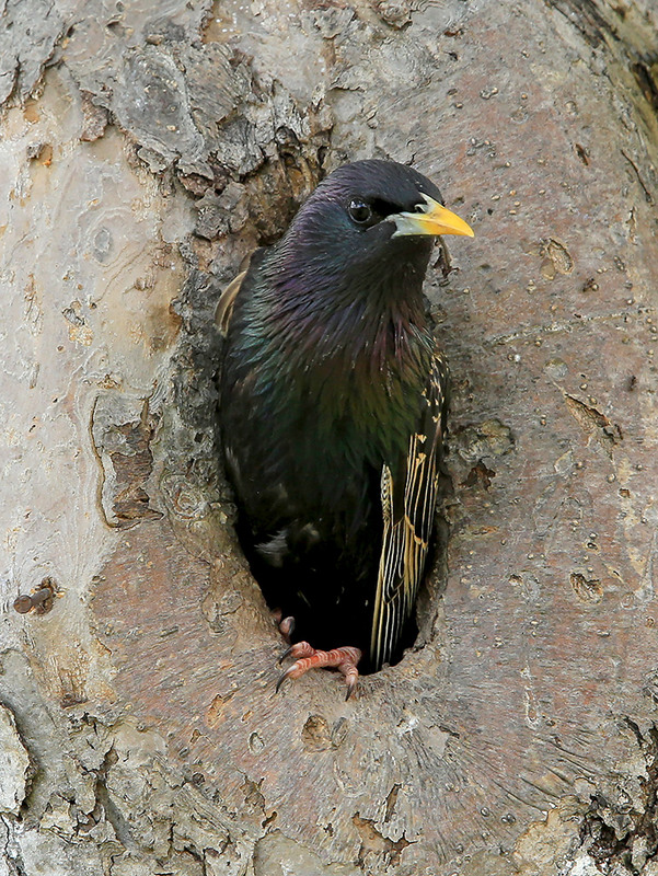 Фотографія Дощу немає? / Алекс Сергіїв / photographers.ua