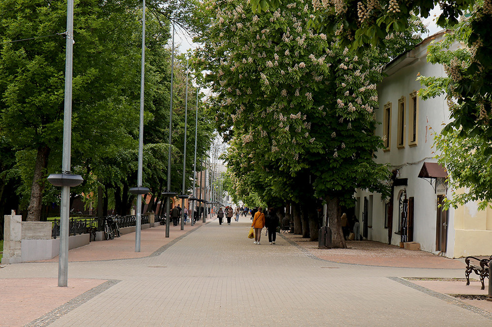 Фотографія Ніжин весняний / Алекс Сергіїв / photographers.ua