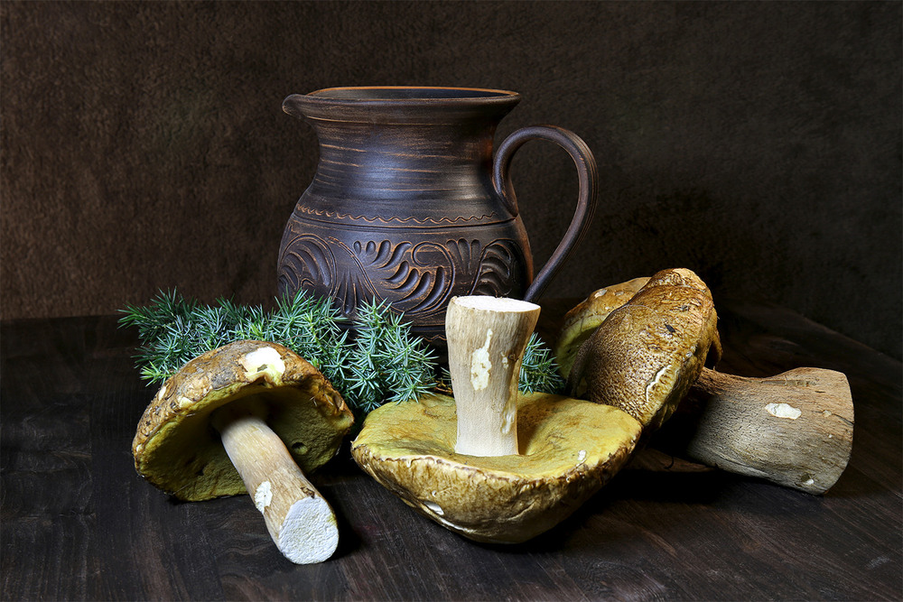 Фотографія Там, де сосни і дуби, заховалися гриби... / Алекс Сергіїв / photographers.ua