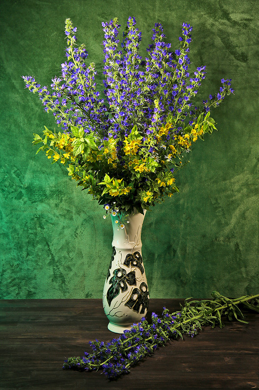 Фотографія Які чарівні квіти польові... Вони чудові, гарні і живі: Рожеві, жовті, сині, білосніжні... / Алекс Сергіїв / photographers.ua