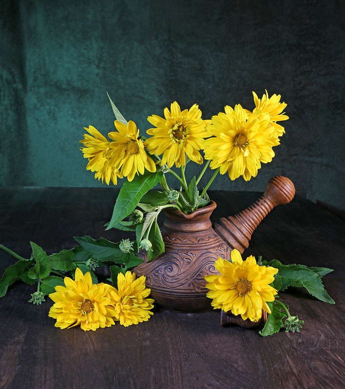 Фотографія Натюрморт з жовтими ромашками / Алекс Сергіїв / photographers.ua