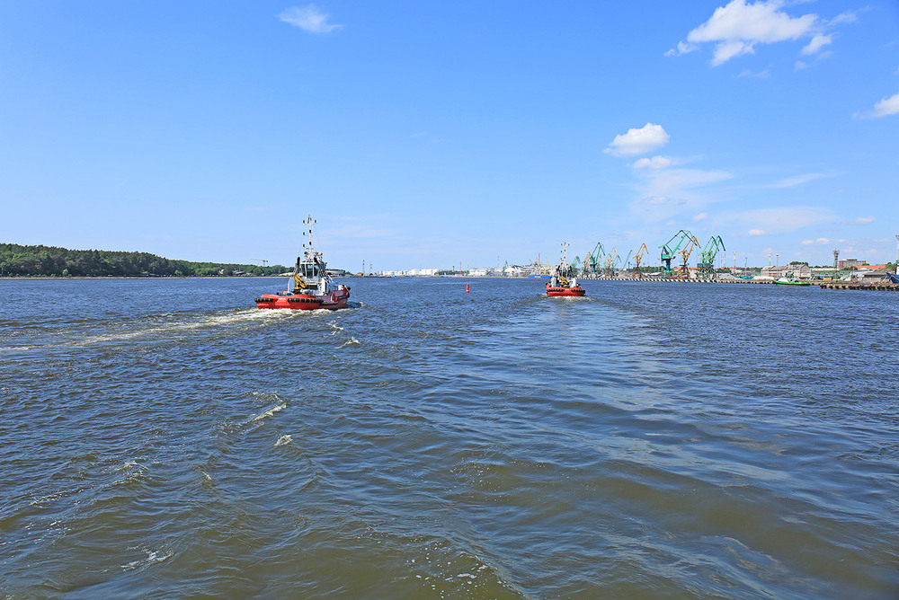Фотографія Чіп і Дейл поспішають на допомогу / Алекс Сергіїв / photographers.ua