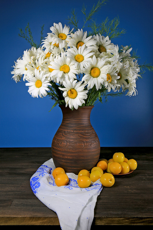 Фотографія Білі ромашки-діти сонця ясні ... / Алекс Сергіїв / photographers.ua