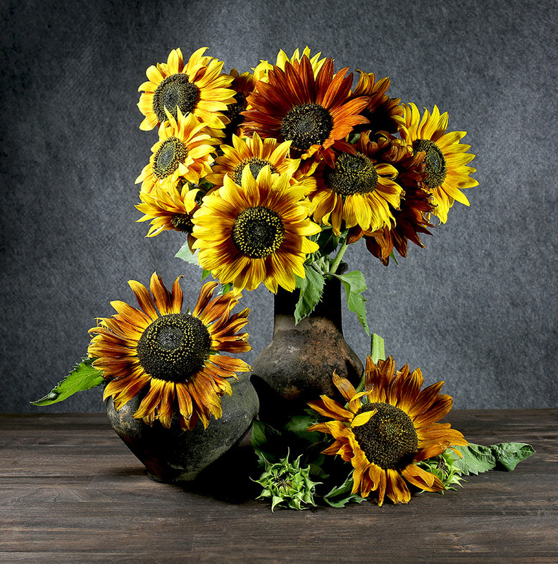 Фотографія Візитна картка України / Алекс Сергіїв / photographers.ua