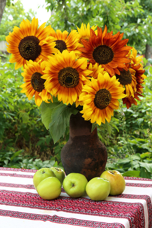 Фотографія ...А квітка величенька й ніжна-ніжна ... / Алекс Сергіїв / photographers.ua