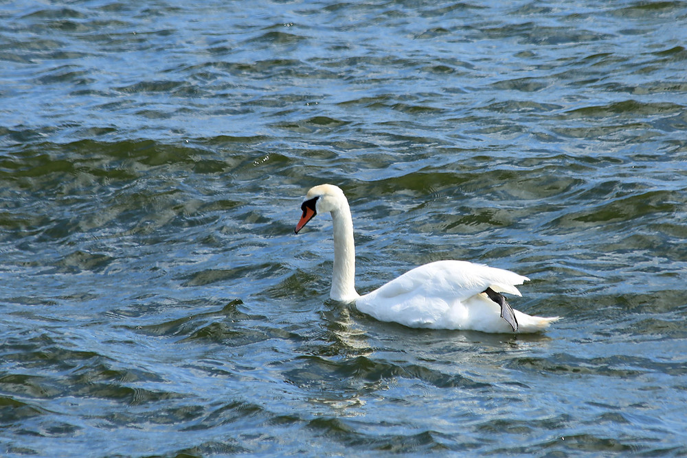 Фотографія Сушимо весла / Алекс Сергіїв / photographers.ua