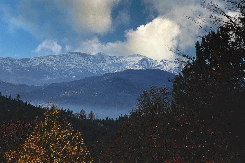 Фотографія Гірські нескорені вершини, які занурились у хмари, ліси дрімучі, полонини, старі колиби і кошари / Алекс Сергіїв / photographers.ua
