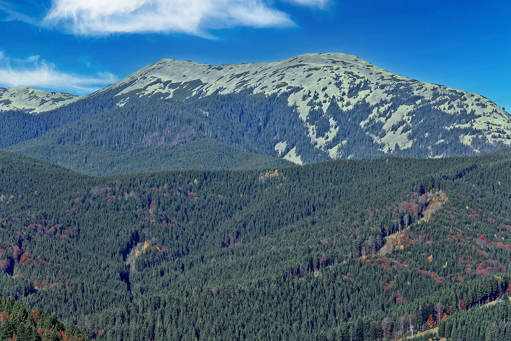 Фотографія Краєвиди Буковелі / Алекс Сергіїв / photographers.ua