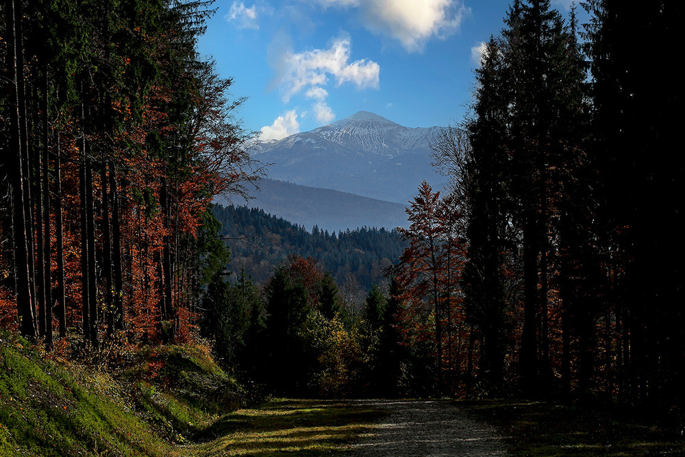 Фотографія Вершина / Алекс Сергіїв / photographers.ua