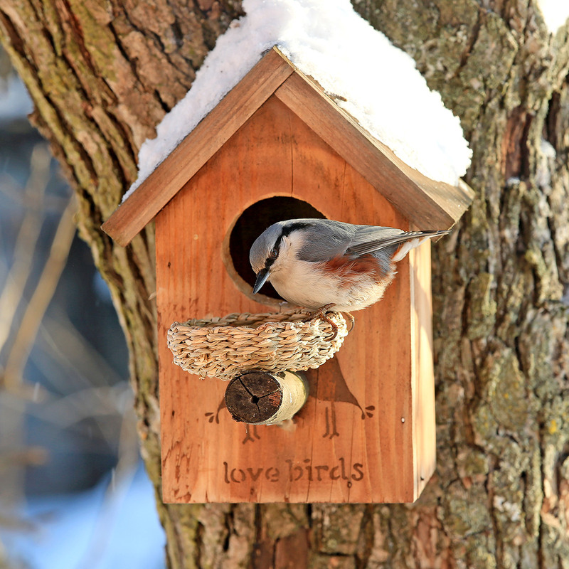 Фотографія Вуличне кафе "LOVE BIRDS" (3) Що сьогодні пропонують? / Алекс Сергіїв / photographers.ua